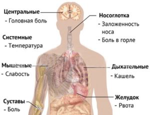 Ломит все тело и температура 38. Температура и ломота в теле — причины, симптомы, лечение. Кишечные инфекции и их причины