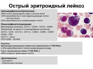 Воспаление легких при лейкозе лечение. Острый лейкоз. Акции и специальные предложения