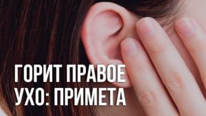 Горит левое ухо в четверг днем. К чему горит левое ухо: приметы, поверья и реальные советы