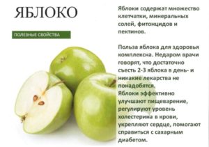В зеленом яблоке какие витамины. Полезные свойства яблок