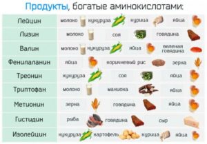 Лейцин в каких продуктах содержится таблица. Список продуктов богатых полезными аминокислотами. Какие из них незаменимые