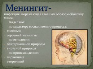 Инфекционные заболевания головного мозга: лечение и симптомы. Нейроинфекция у детей - что это и как бороться