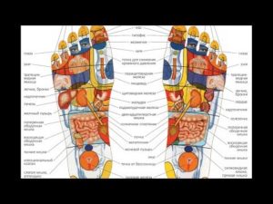 Точки на стопах ног отвечающие за органы. Биологически активные точки на стопах ног: полная схема