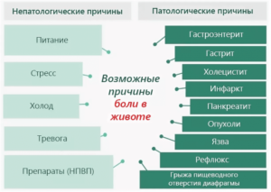 Почему у ребенка после еды болит живот. Почему у ребенка после еды может болеть живот