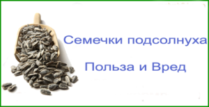 Можно ли поправиться от семечек жареных. Можно ли поправиться или похудеть от семечек? Поправляются ли от семечек тыквы