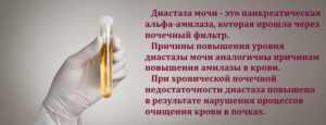 Какой должна быть диастаза в норме. Показания к анализу на диастазу. Сбор и сдача урины