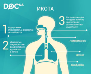 Икота после еды у взрослых. Что делать, если мучает икота после еды