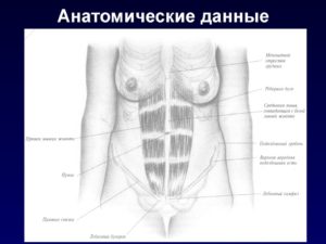 Боль при нажатии на мечевидный отросток грудины. Мечевидный отросток грудины увеличился