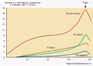 После родов какой гормон. Восстановление гормонов после родов