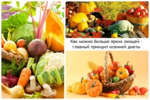 Осеннее питание, какие витаминные продукты должны быть в рационе. Какие продукты есть осенью, чтобы худеть