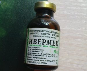 Ивермек инструкция по применению для кошек дозировка. Эффективный Ивермек для кошек — яд для паразитов. Цены и аналоги