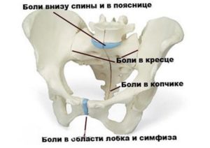 Почему болят тазовые кости после родов? женское здоровье. После родов болит таз, кости таза (тазовые кости)