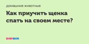 Как приучить щенка ночью спать. Как приучить щенка спать ночью: полезные советы Как приучить щенка спать на своем месте