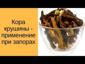 Как принимать кору крушины от запора? Как правильно использовать кору крушины от запоров