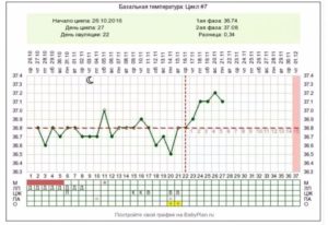 В какое время мерить базальную температуру. Измерение базальной температуры: как, когда и где мерить