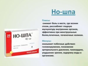 Что попить если болит почка. Но-шпа от боли, спазмов и колик в почках — порядок применения