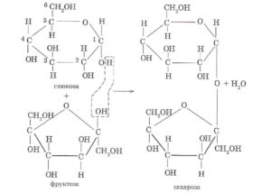 Глюкоза, фруктоза, сахароза: чем отличаются? что более вредно? Чем отличается глюкоза от сахара