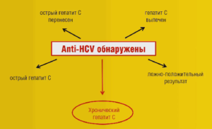 Анти вгс положительный что это значит. Anti hcv подтверждающий положительный что это значит