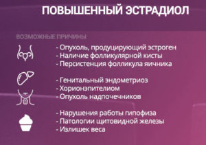 Как повысить уровень эстрадиола в женском организме естественным путем. Как повысить эстрадиол естественным путем у женщин