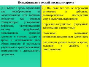 Как уменьшить выделение адреналина в организме. Что вызывает выброс в кровь адреналина? Причины, симптомы, лечение