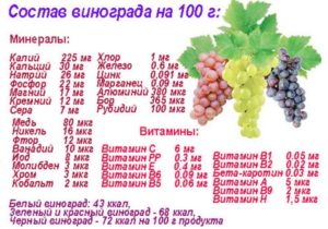 Толстеют ли от винограда: сколько в нем калорий и какое количество ягод можно съедать в день. Можно ли есть виноград при похудении