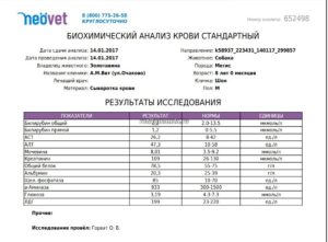 Сколько по времени делается развернутый анализ крови. Сколько по времени делается биохимический анализ крови. Через сколько будут готовы результаты гормональных исследований