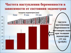 Как увеличить эндометрий при планировании беременности народными. Как увеличить толщину эндометрия, чтобы забеременеть