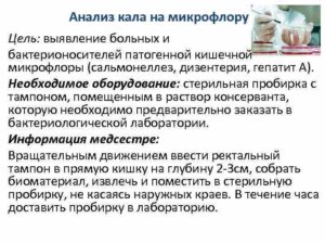 Как сдавать анализы на сальмонеллез: анализ кала и крови, подготовка. Анализ на сальмонеллез