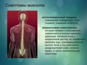 Как лечить миелит. Миелит – воспаление спинного мозга, чем опасно заболевание? Синдромы воспалительного поражения спинного мозга