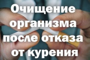 Что происходит в организме после отказа от курения. Очищение организма после отказа от курения. Восстановление организма после курения