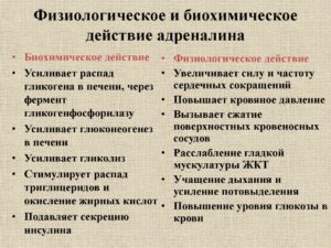 Как уменьшить выделение адреналина в организме. Что вызывает выброс в кровь адреналина? Причины, симптомы, лечение