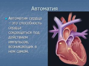 Автоматизм сердца. Автоматия сердца