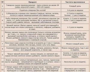 Можно ли кормить вислоухих котят обычной едой. Продукты, которыми нельзя кормить шотландских вислоухих котов. Типы питания шотландского вислоухого котенка