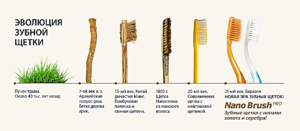 Кто изобрел зубную щетку: интересные факты. Кто и когда придумал зубную пасту