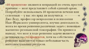 Человек использует свой мозг. На сколько процентов работает человеческий мозг