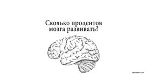 Человек использует свой мозг. На сколько процентов работает человеческий мозг