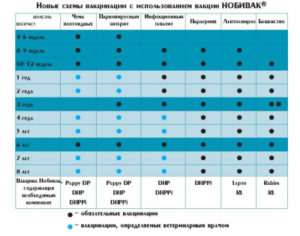 Календарь вакцинации и необходимые документы щенка йоркширского терьера. Когда делать прививки йорку Йоркширский терьер прививки щенкам график с рождения