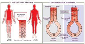 Давление при простуде. Может ли повышаться давление при простуде? Методы лечения