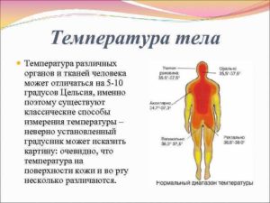 Почему в течение дня меняется температура тела. Причины повышения температуры без симптомов у взрослых. Температура тела у взрослых