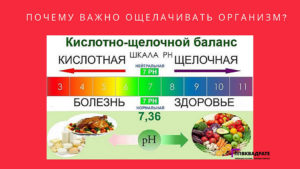 Продукты создающие щелочную среду в организме. Кислые и щелочные продукты питания: что необходимо знать