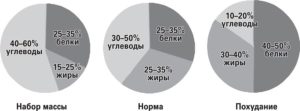 Бжу для похудения. Научные основы похудения. Правильное соотношение белков, жиров и углеводов для похудения