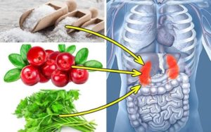 Какие продукты выводят металлы из организма. Как происходит лечение? средств для очищения печени от тяжелых металлов