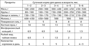 Как кормить щенка питбуля 1 месяц. Кормление щенка. Кормление сухими кормами