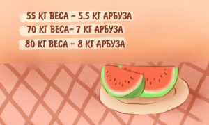 Арбуз на ужин для похудения. Интересно, а можно ли есть арбуз на ночь? Суть арбузной диеты