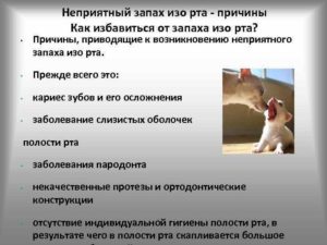 О чем говорит состояние, когда дурно пахнет изо рта у ребенка? Запах изо рта после удаления аденоидов: причины, лечение