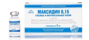 Капли максидин инструкция по применению. Максидин для кошек: инструкция по применению. Максидин для кошек - отзывы