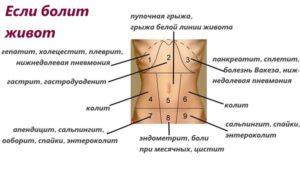 Почему болит пупок: причины и лечение. Тянущая боль в пупке у женщин