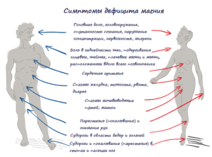 Недостаток магния у мужчин. Обойтись нельзя: как понять, что организму не хватает магния