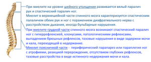 Как лечить миелит. Миелит – воспаление спинного мозга, чем опасно заболевание? Синдромы воспалительного поражения спинного мозга