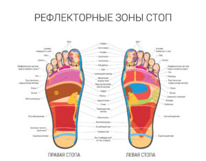 Лечебный массаж стопы. Польза массажа ступней. Особенности выполнения рефлексологического массажа